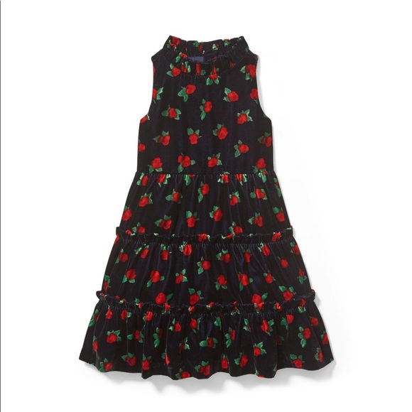 Janie and Jack Other - Janie and jack little girl velvet rose dress size5